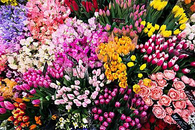 《光环：无限》音频文件暗示大逃杀模式可能存在