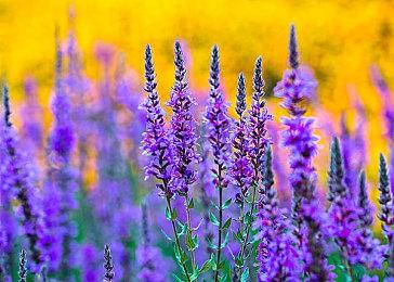 《毁灭战士：永恒》6.66版本上线Switch 免费更新